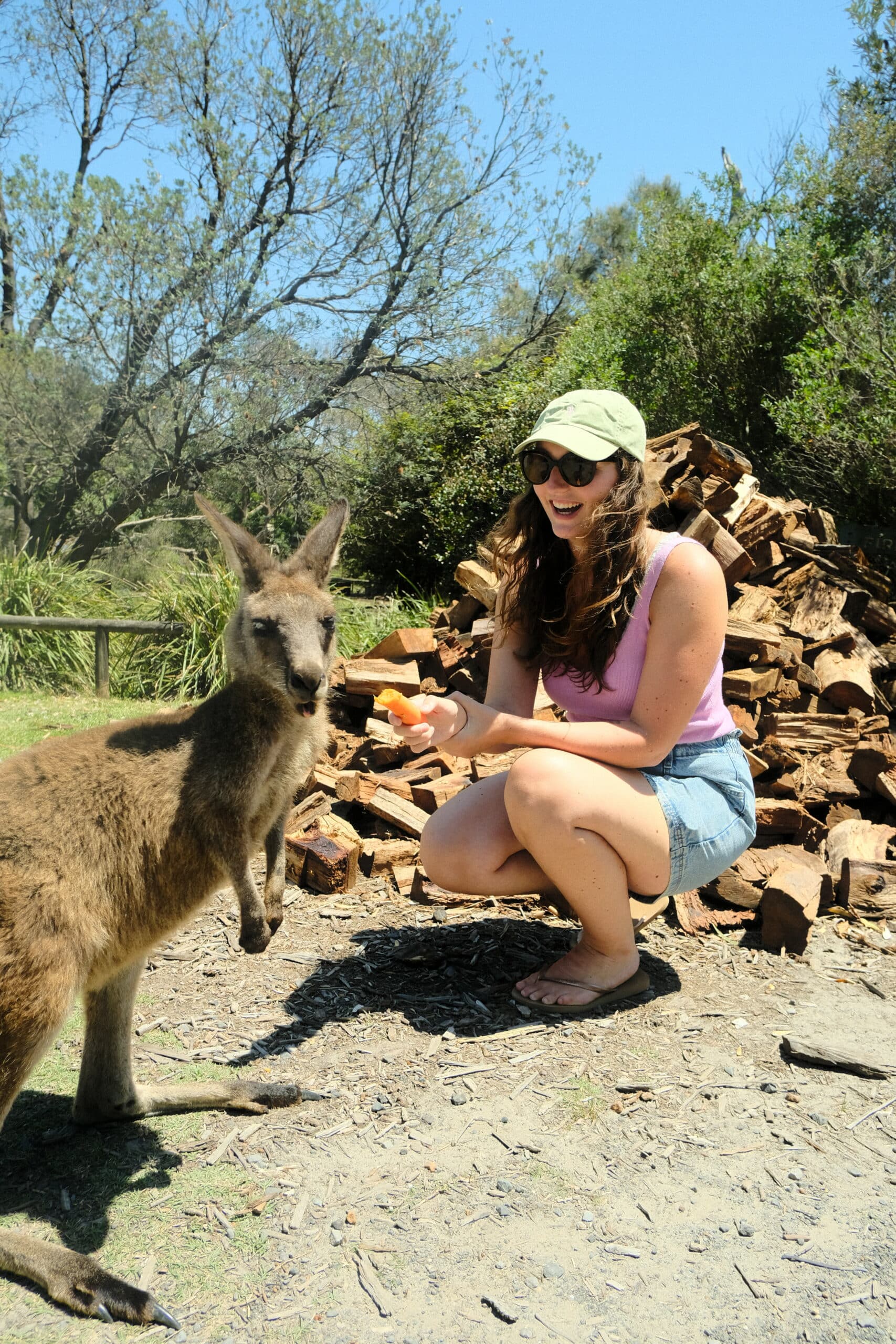 Anais kangroo